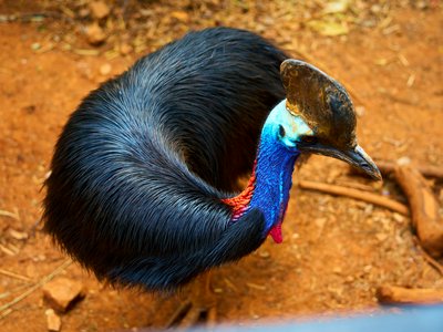 Kunming Zoo 2025 #18