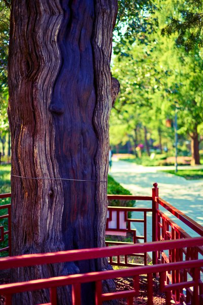 Beijing 202509 #7