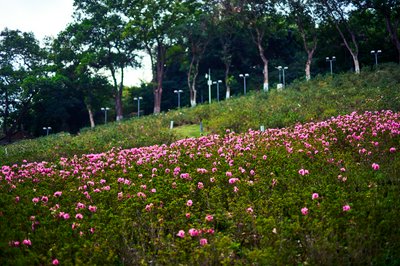 Zhongshan Parks 202601 #71