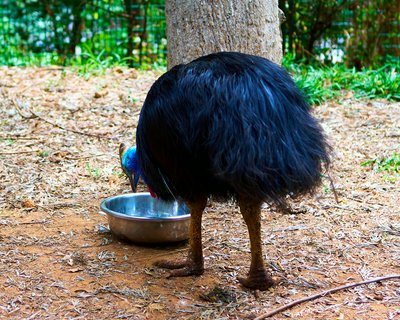 Kunming Zoo 2025 #20