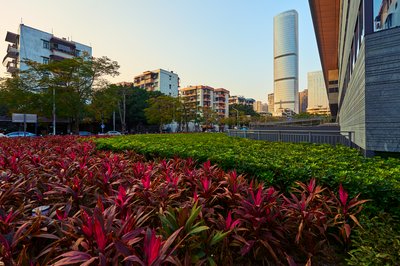 Zhongshan 202601 #36