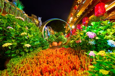 Lijiang Old Town 2025 #73