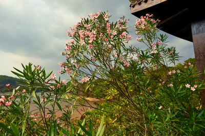 Zhongshan Parks 202603 #23