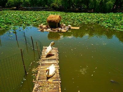 Kunming Misc 2025 #11