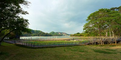 Zhongshan Parks 202603 #25