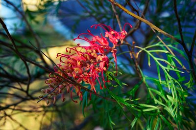 Zhongshan Parks 202602 #19