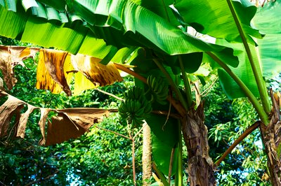 Zhongshan 202512 #60