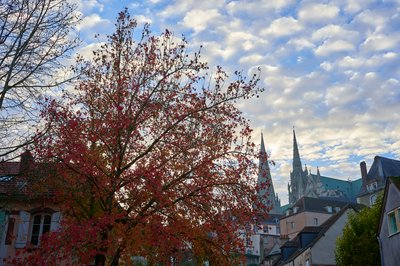 Chartres [Nov 2022] #17