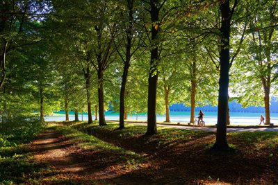Versailles Park 2020 Summer #16