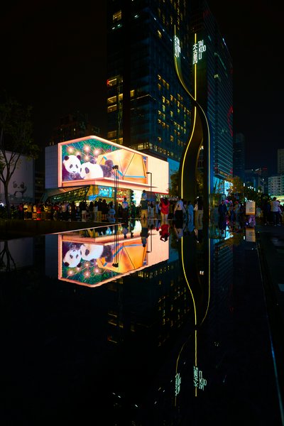 Chengdu Misc 2025 #48