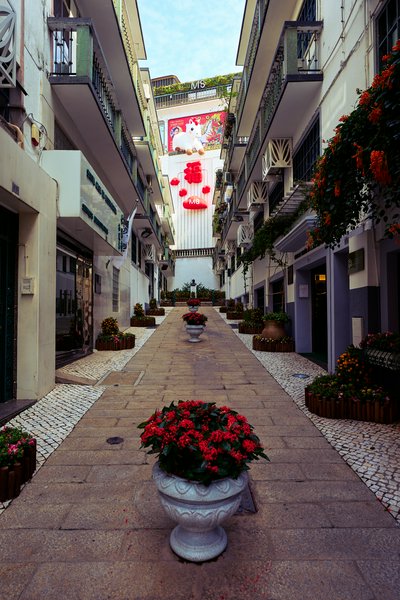 Macau 202603 #54