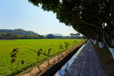 Zhongshan 202602 #38