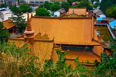 Kunming Zoo 2025 #29