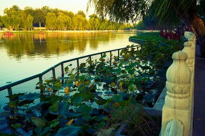 Beijing 202509 #25