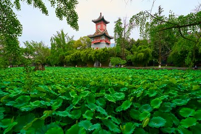 Chengdu Misc 2025 #34
