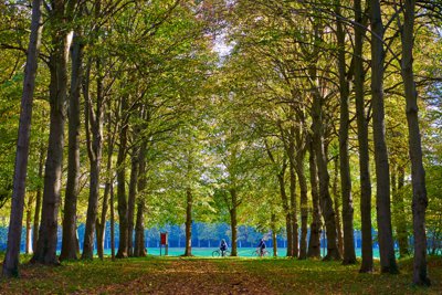 Park of Versailles, Autumn 2020 #24