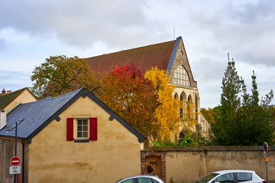 Chartres [Sept-Oct 2021] #7