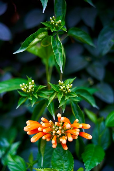 Parks in Zhongshan 202512 #68