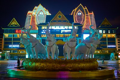Xishuangbanna Misc 2025 #6