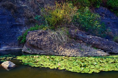 Zhongshan Parks 202602 #6