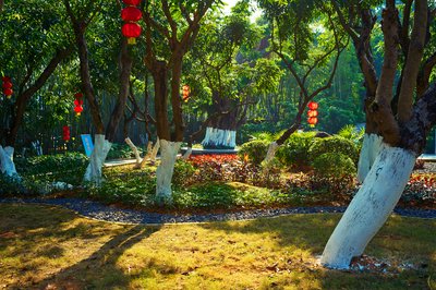 Zhongshan 202512 #66