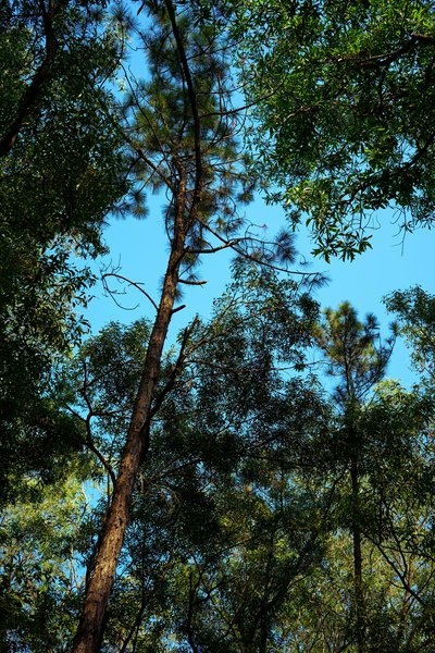 Zhongshan Parks 202603 #9