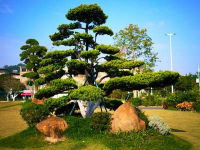 Parks in Zhongshan 202512 #12