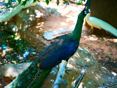 Kunming Zoo 2025 #38