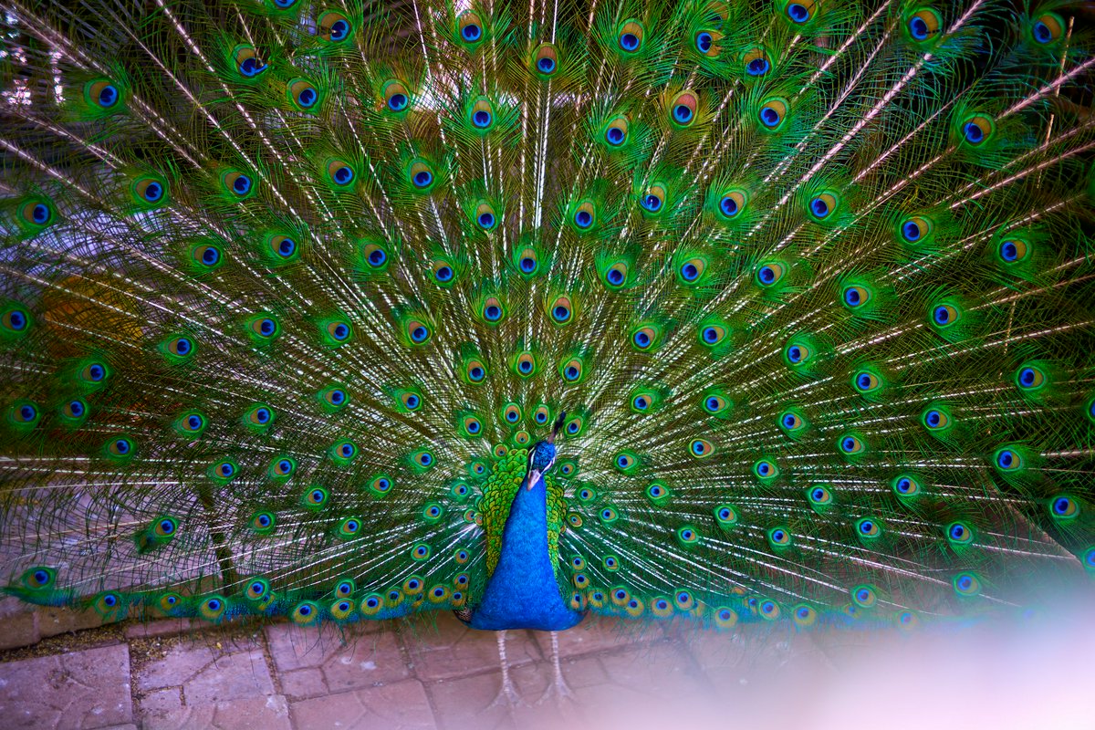 Hero Image for Kunming Zoo 2025