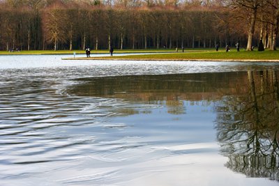 Versailles (Ice, Lake, Night, Birds), Winter 202001 #22