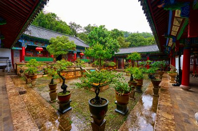 Lijiang Heilongtan 2025 #13