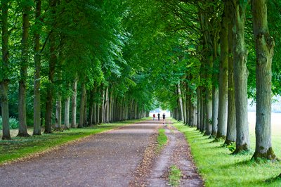 Park of Versailles [July 2021] #9