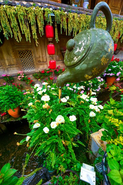 Lijiang Old Town 2025 #20