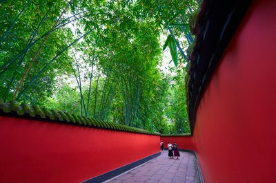 Chengdu Wuhouci 2025 #39