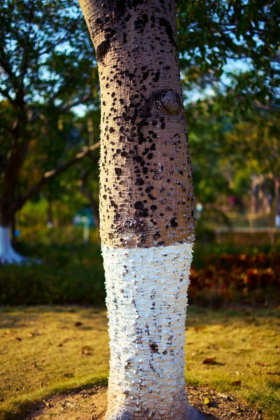 Zhongshan Parks 202601 #13