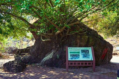 Parks in Zhongshan 202512 #32