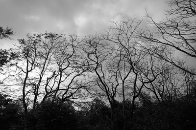Zhongshan Parks 202603 #36