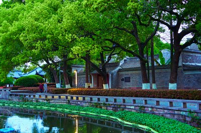 Ningbo 2026 #90