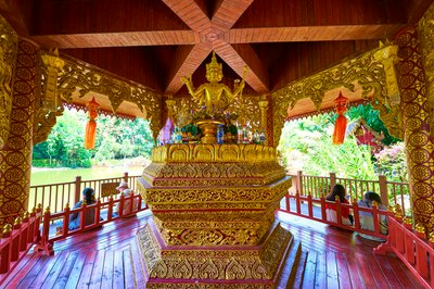 Xishuangbanna Manting Park 2025 #49