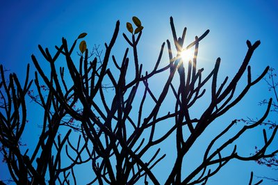 Zhongshan Parks 202601 #40