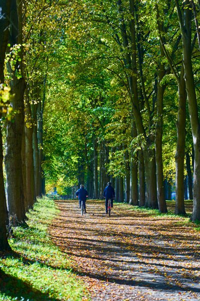 Park of Versailles, Autumn 2020 #23