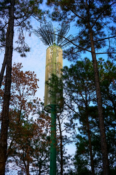 Parks in Zhongshan 202512 #17