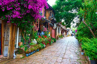 Lijiang Old Town 2025 #8