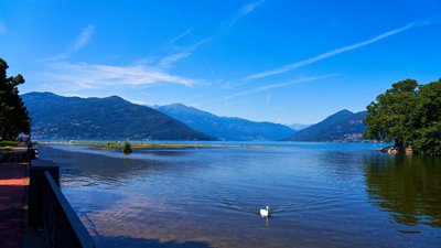 Photo from gallery Lake Maggiore 201807 taken on 2018:07:08 15:39:46 at Lombardy by DrJLT