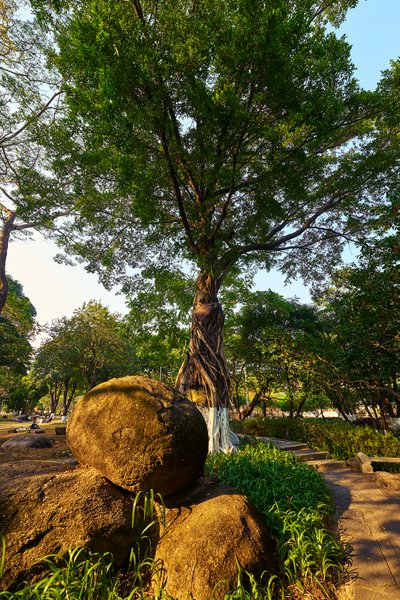 Zhongshan Parks 202601 #52