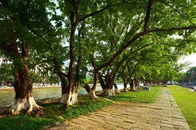 Zhongshan 202603 #70