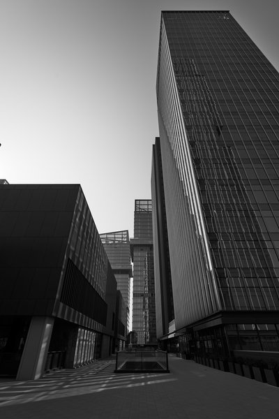 Zhongshan 202601 #65