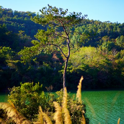 Zhongshan Parks 202601 #31