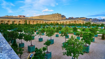 Photo from gallery Orangerie @ Chateau de Versailles, Summer 201908 taken on 2019:08:19 19:07:51 at Versailles by DrJLT