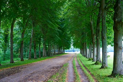 Park of Versailles [July 2021] #17